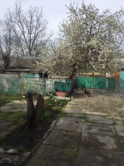 Дом 63,7 м² на участке 12 га