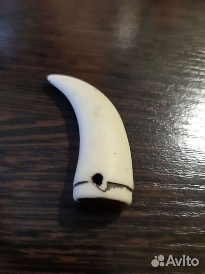 Клык крупного животного