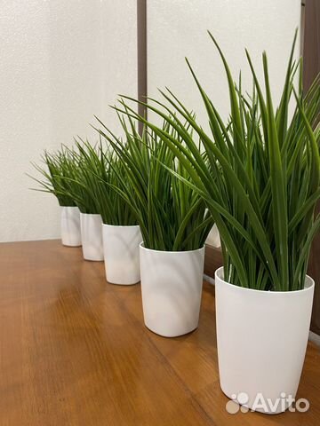 Искусственные растения для декора