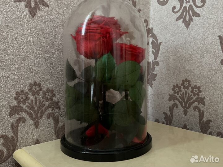 Вечная роза в колбе