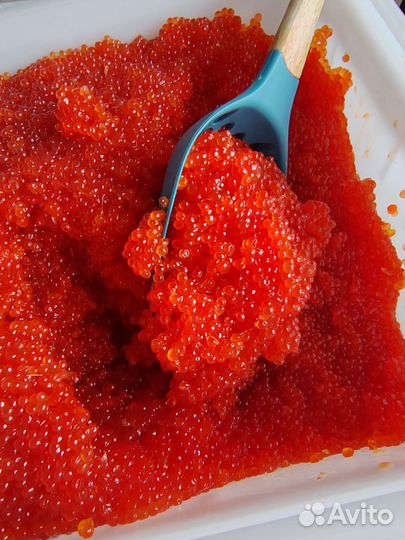 Красная икра кеты, горбуши 2023