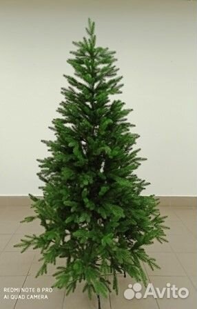 Ёлка Европейская