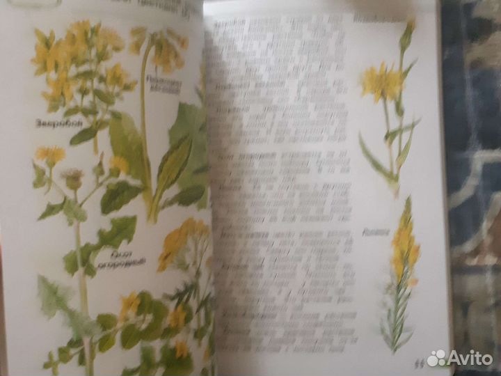 Атлас А.А.Плешаков от земли до неба