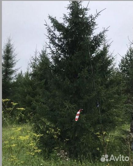 Елка Ель Новогодняя оптом