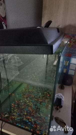 Аквариум