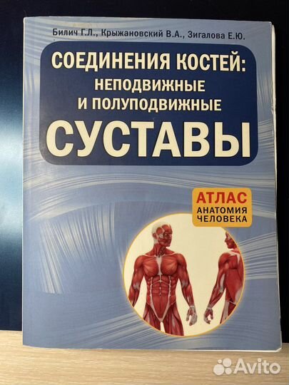 Атлас по анатомии