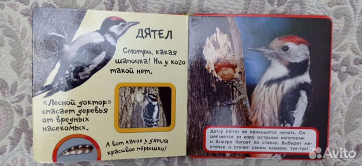 Книга для самых маленьких 