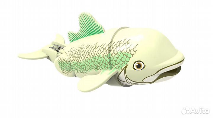 Рыбка-акробат