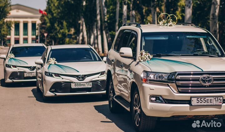 Стильные украшения на свадебные авто, кортежи