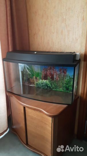 Аквариум для рыб