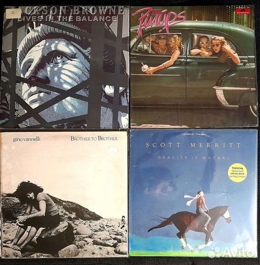 Виниловые пластинки (1)