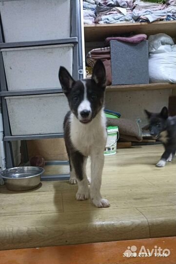 Милый мальчишка