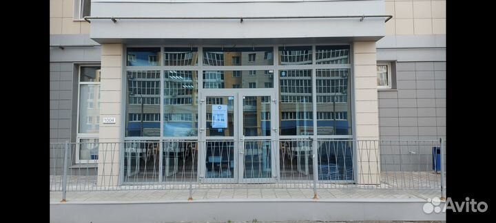 Сом полосатый - Платидорас