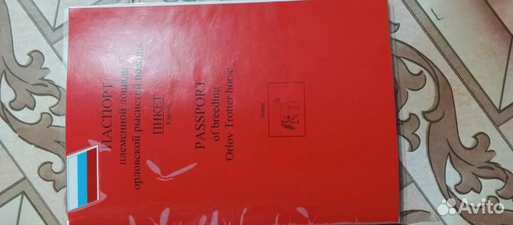 Жеребец орловский рысак