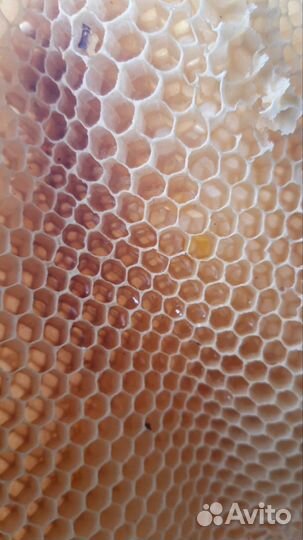 Мёд с личной пасеки