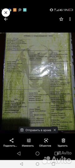 Чистопородная дойная нубийка