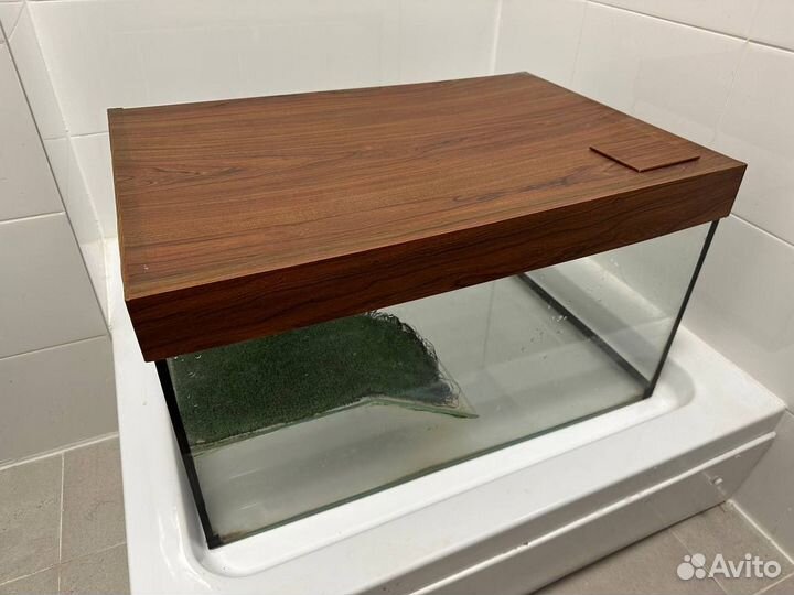 Террариум для красноухой черепахи