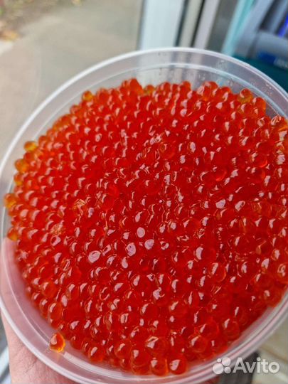 Красная икра 2023