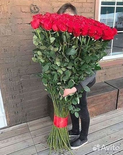 Розы Букеты Цветы Розы 31 101 151 201 Доставка