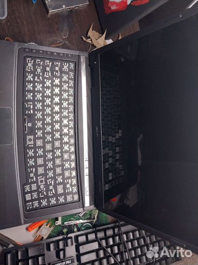 Acer
