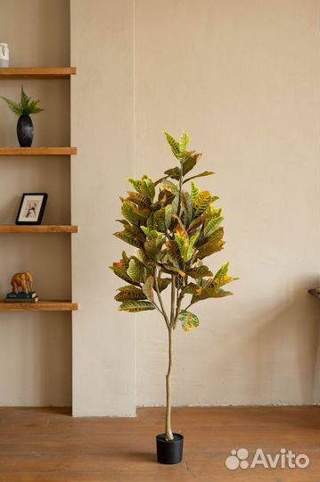 Искусственное дерево Кротон