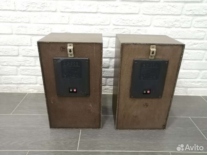 Колонки Радиотехника s30b