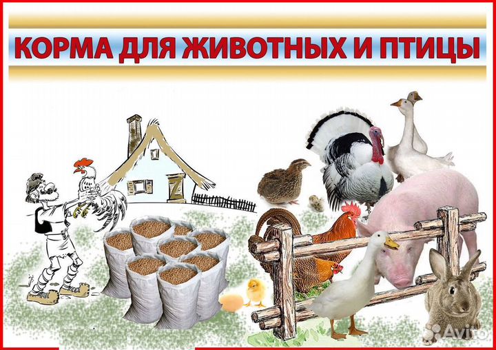 Зерно,корма для с/х животных