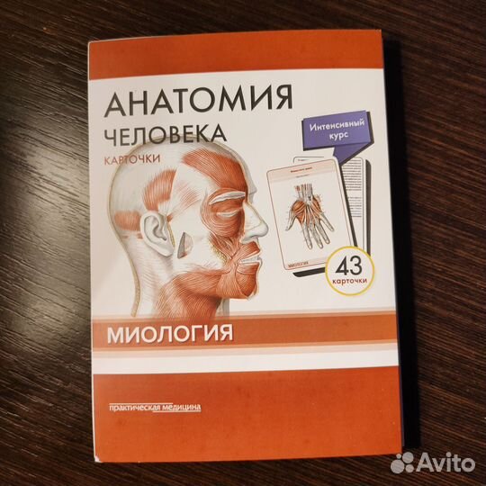 Карточки по анатомии, миология, Сапин