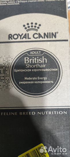Влажный корм для кошек royal canin
