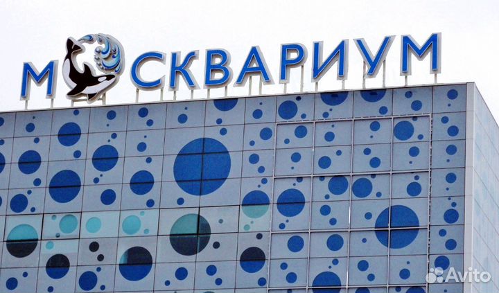 Билеты Москвариум экспозиция Океан в городе