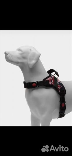 Шлейка для собаки