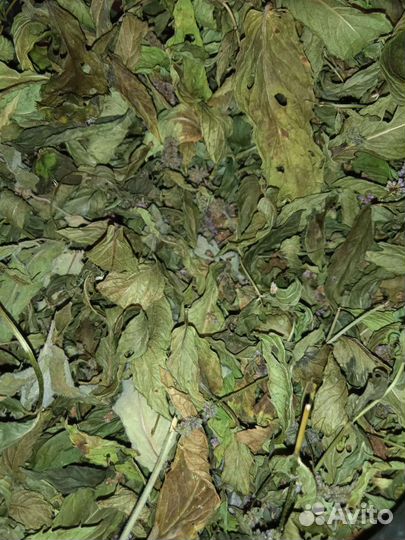 Лечебные травы и корни