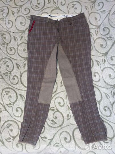 Продам бриджи для конного спорта