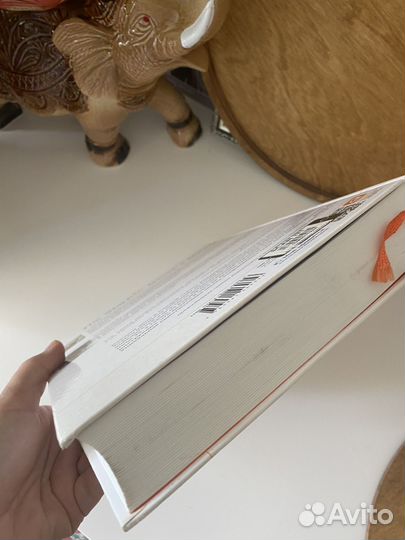 Книга Стартап Стив Бланк