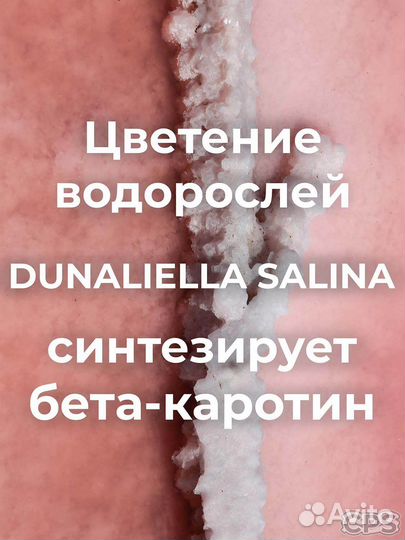 Морская соль крымская