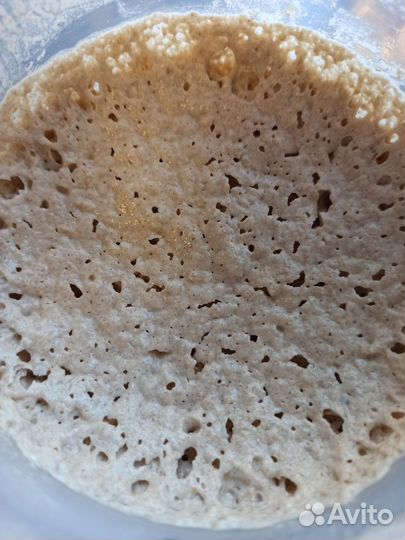 Закваска для хлеба