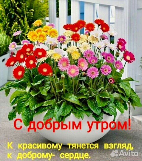 Горшок керамический