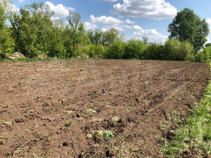 Участок 20 сот. (ИЖС)