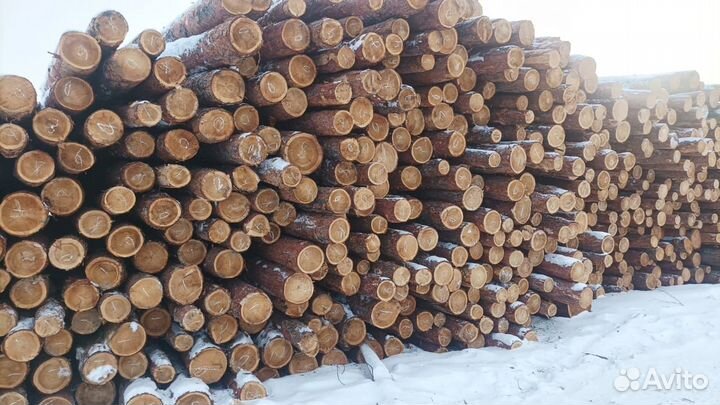 Лес-кругляк лиственница 14-24*6