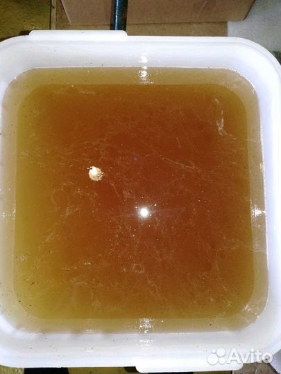 Мед натуральный липовый