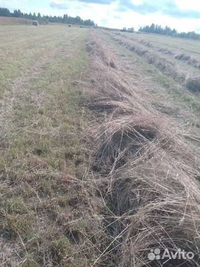 Сено в рулонах 2022