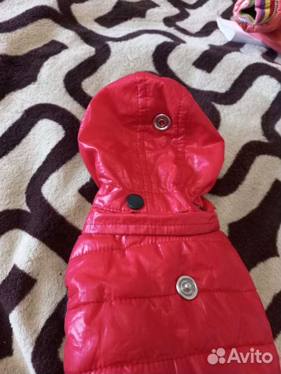 Одежда для собак,S