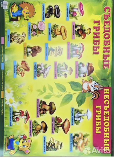 Плакаты для начальной школы