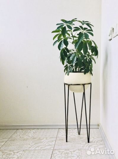 Подставка для цветов новая (подстолье)