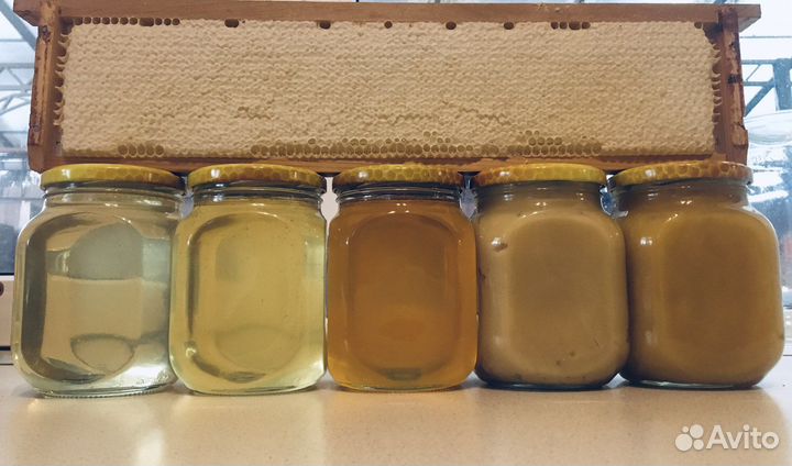 Мёд Майский, Акация, Донник, Разнотравье, Крем-мёд