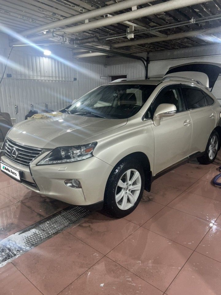 Lexus RX: фото владельца