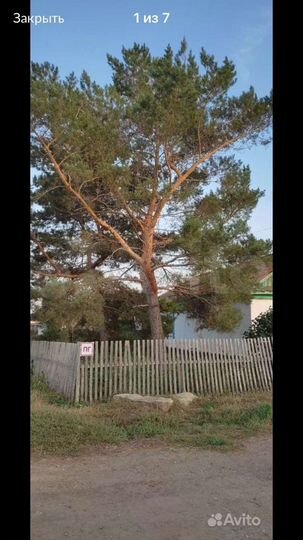 Дом 53,3 м² на участке 14 сот.