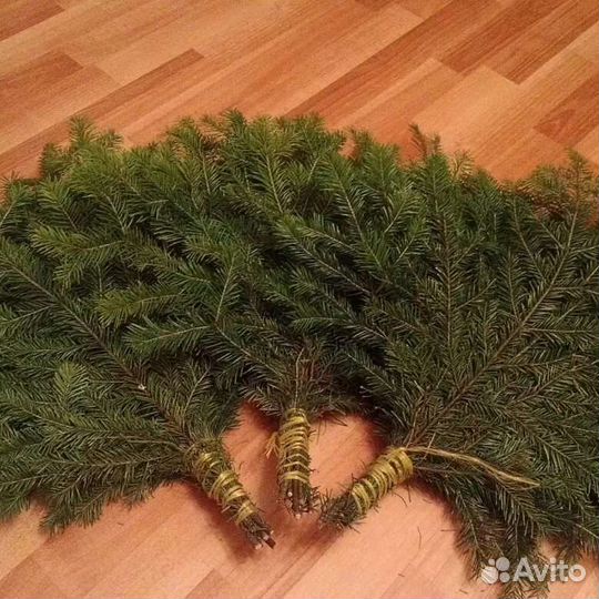 Пихтовые веники