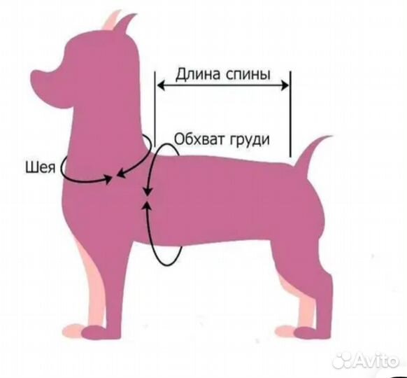 Зимний комбинезон для маленькой собаки for my dogs