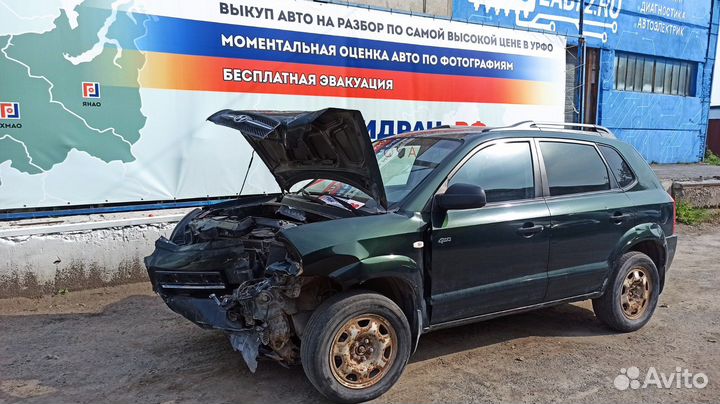 Проводка двери задней левой Hyundai Tucson (JM) 91